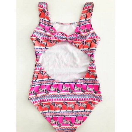 HC-036-Zebra One Piece Swimsuit