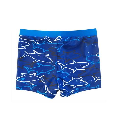 BYSH002-Boys Swimshorts Bathing Suit