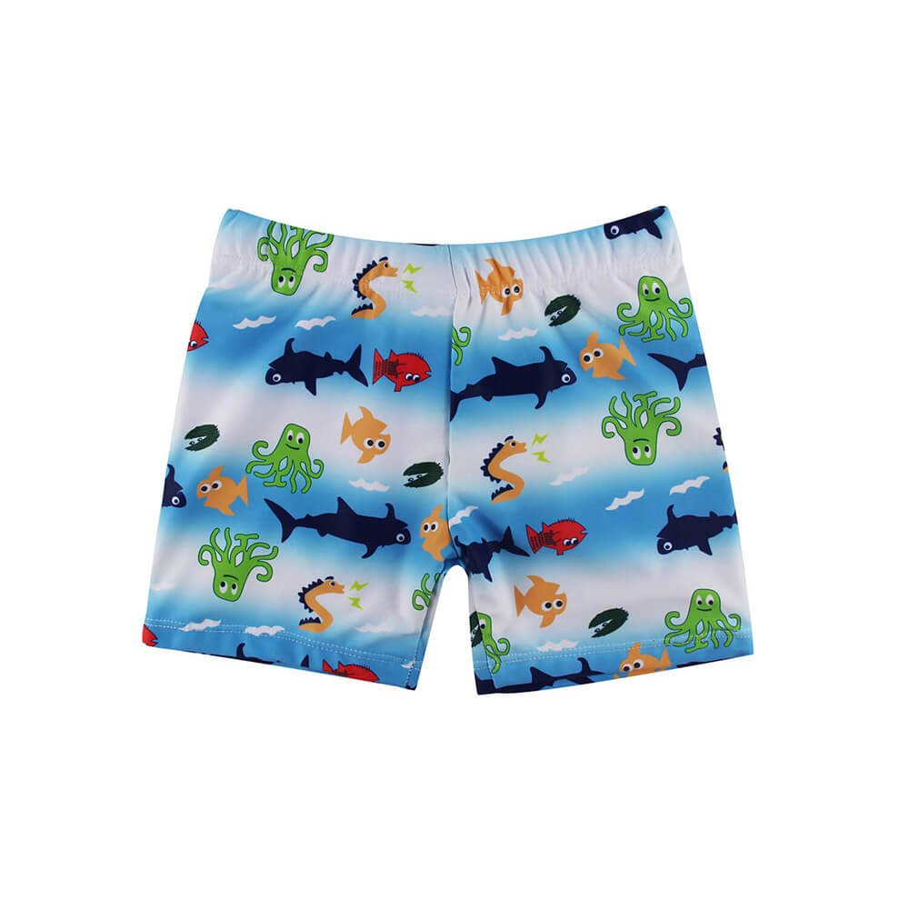 BYSH004-Swim Trunks Swimwear