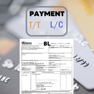 PAYMENT TT LC