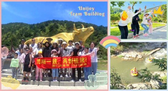 Unijoy Swimwear And Activewear Manufacturer - Team Building