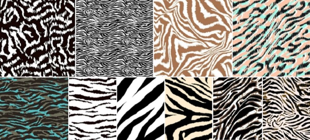 Zebra Print Patterns